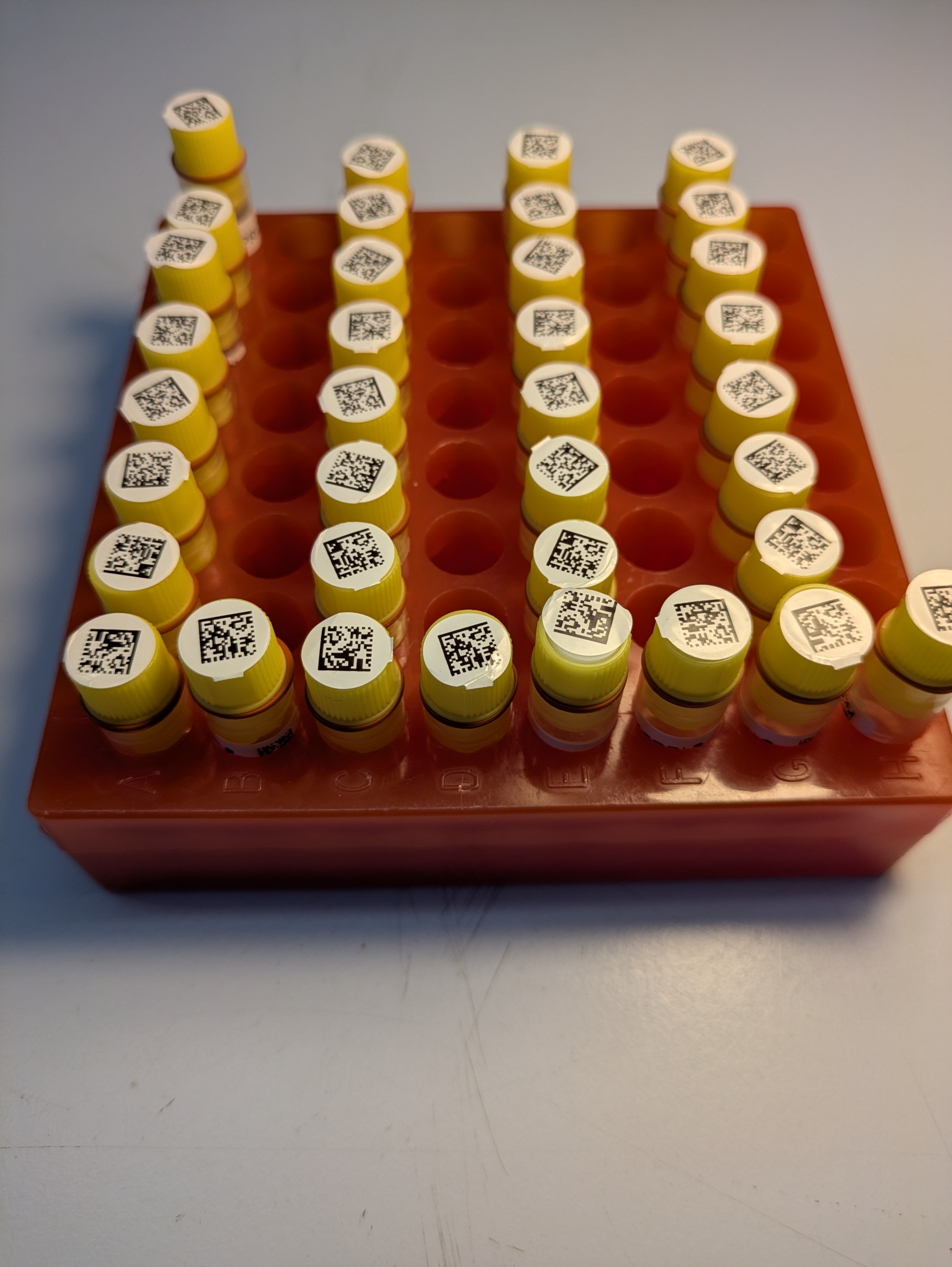 Tube preparation